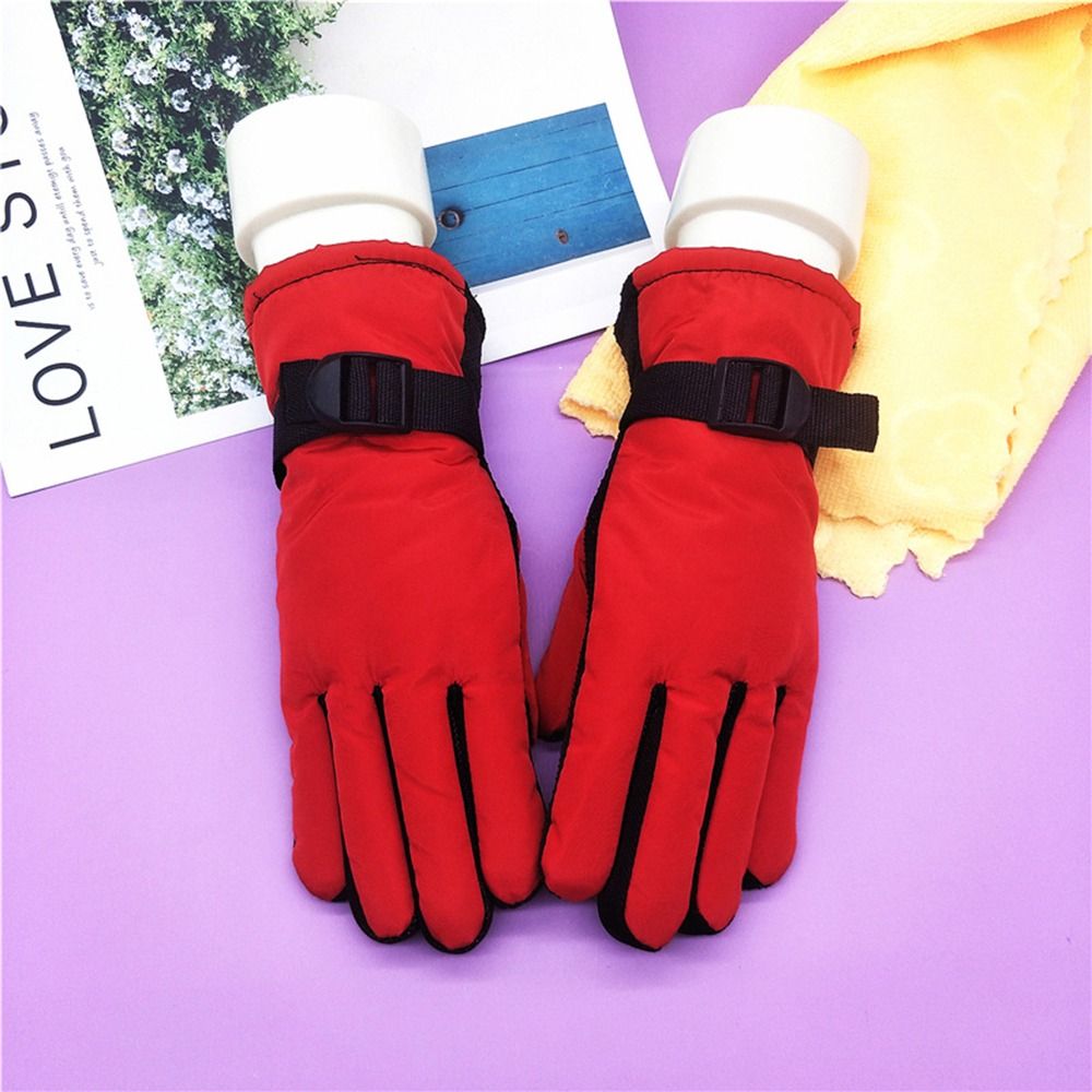 겨울 필수 방풍 스키 장갑 미끄럼 방지 방수 성인용 두 - Ski Glove Waterproof 리뷰 및 가격